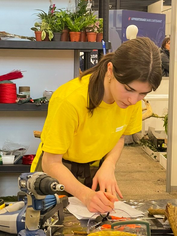 WorldSkills 2025 - Grand-Est photo 2